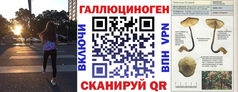 Псилоцибиновые грибы Magic Shrooms  наркота  Гусиноозёрск 
